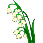 le-brin-de-muguet